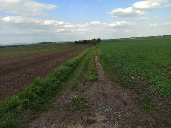 Obrázek k zakázce č.: 632881