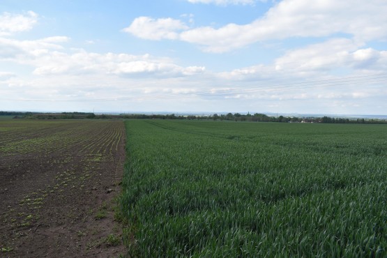 Obrázek k zakázce č.: 632881