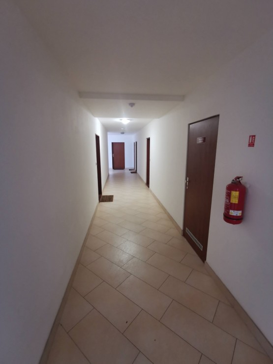 Obrázek k zakázce č.: 649061