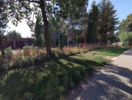 Detail: Komerční objekt 1580 m2