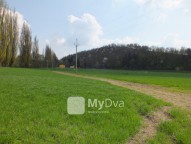 DSCF1093