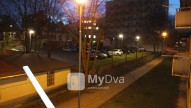 DSCF8144