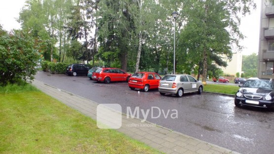 DSCF8973
