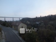 DSCF8604