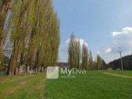 DSCF1095