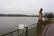IMG_0131