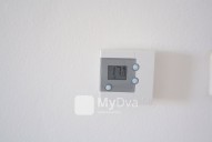 IMG_7715