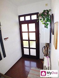 DSCF8257