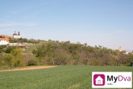 IMG_8049