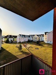 IMG_4496