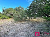 Fe226ab709d0ddc58a1aa80eeffe0e4499934