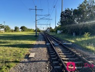 IMG_0447