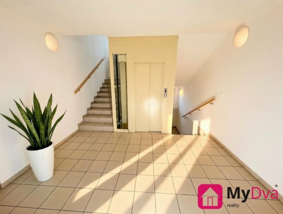 Grok Image 2026-03-10 at 10.35.30 odp.