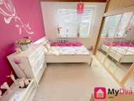 IMG_3343