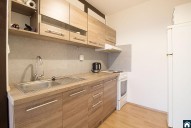 Detail: Pronájem bytu 1+kk, 42 m2