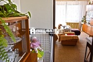 _DSC0419