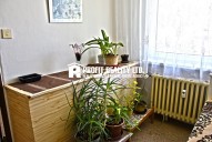 _DSC0418