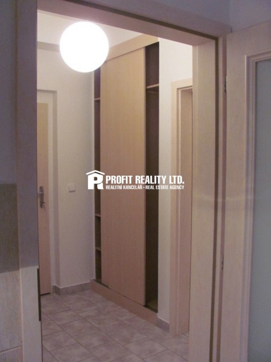 Dveře do předsíně