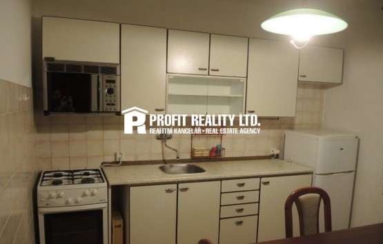 15055172-2-1-v-1-patre-rodinneho-domu-1