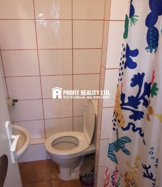 15509978-pronajmu-garsonieru-3