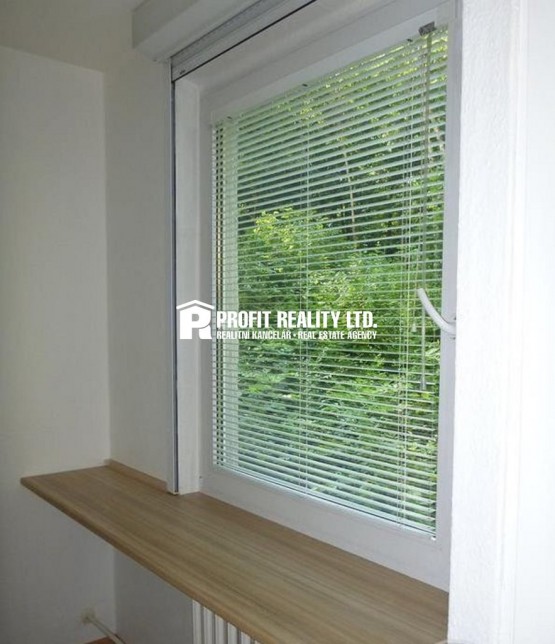 15525064-pronajem-bytu-3-kk-praha-8-6