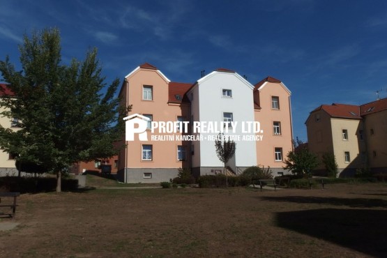 P9115528