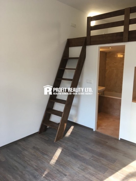 64740729_618847365267184_7402969858050097152_n