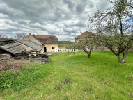 IMG_5215