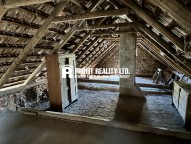 IMG_4708