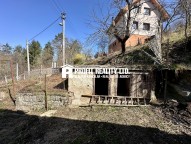 IMG_4701