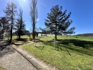 IMG_0395