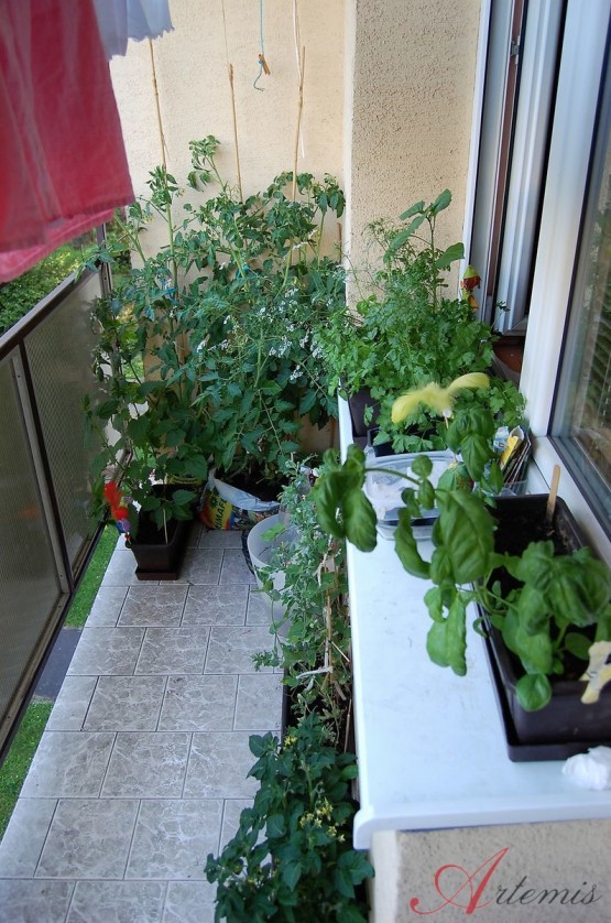 balkon.jpg