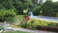 20170705-090805.jpg