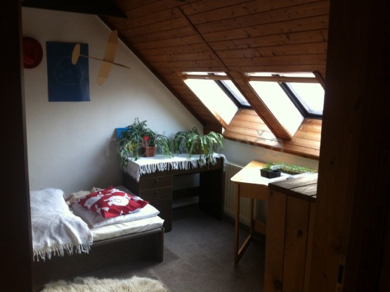 Obrázek k zakázce č.: 542823