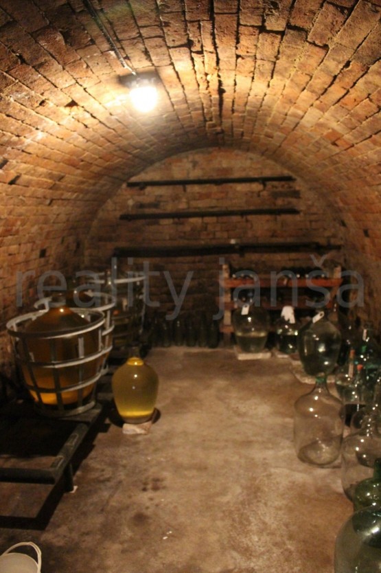 Obrázek k zakázce č.: 542823