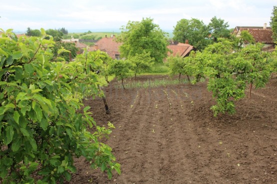 Obrázek k zakázce č.: 542823