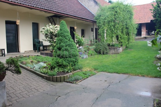 Obrázek k zakázce č.: 542823