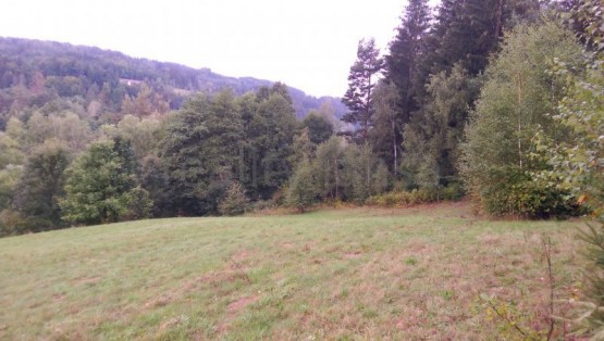 Obrázek k zakázce č.: 522563