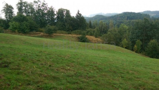 Obrázek k zakázce č.: 522563