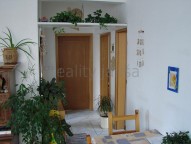 Obrázek k zakázce č.: 609923