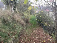 IMG_7183.JPEG
