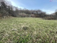 IMG_7177.JPEG