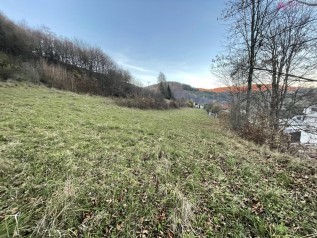 IMG_7176.JPEG