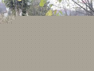 IMG_7183.JPEG