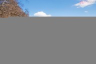IMG_4435_03-16-2026.jpg