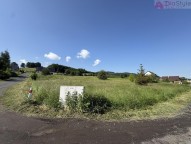 Image6.JPEG