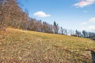 IMG_4435_03-16-2026.jpg