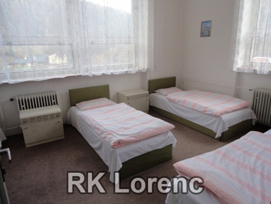 Obrázek k zakázce č.: 598583