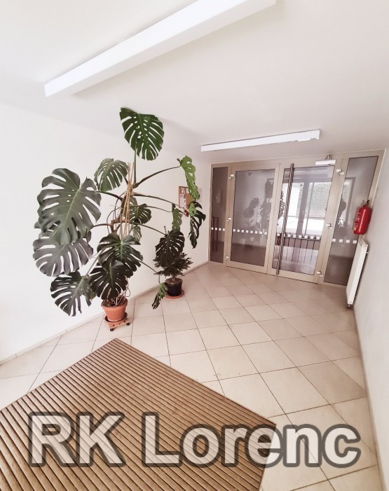 Obrázek k zakázce č.: 642141