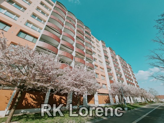 Obrázek k zakázce č.: 645701